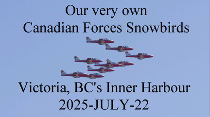 20250722 snowbirds2b1 1080
