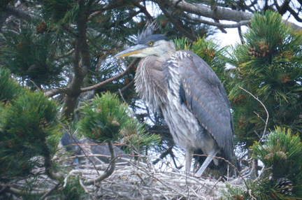 2016-06-08 12-30-29 - BUTL3428