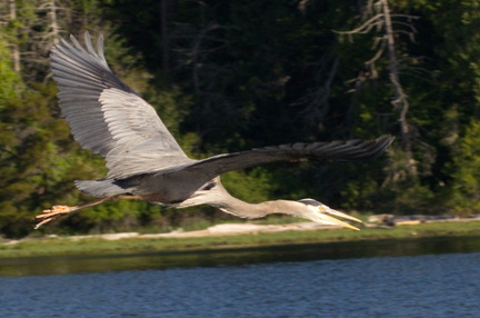 2016-06-07 06-44-28 - BUTL3370