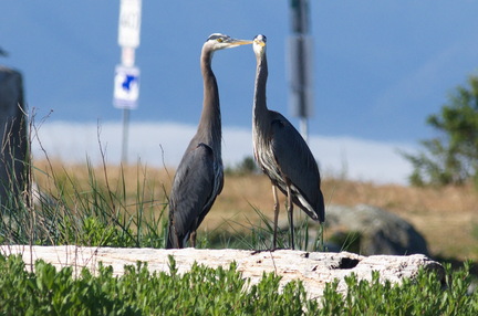 2016-06-07 07-14-49 - BUTL3405